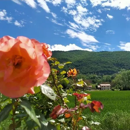 Homestay D'hotes & L'hosting Noix Hostun
